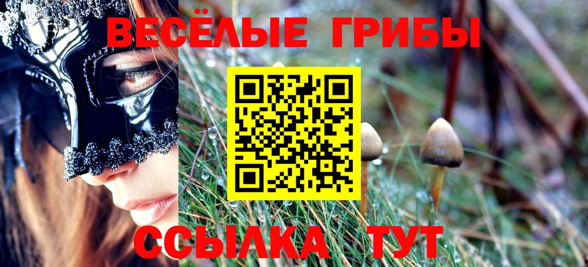 Псилоцибиновые грибы прущие грибы Тверь