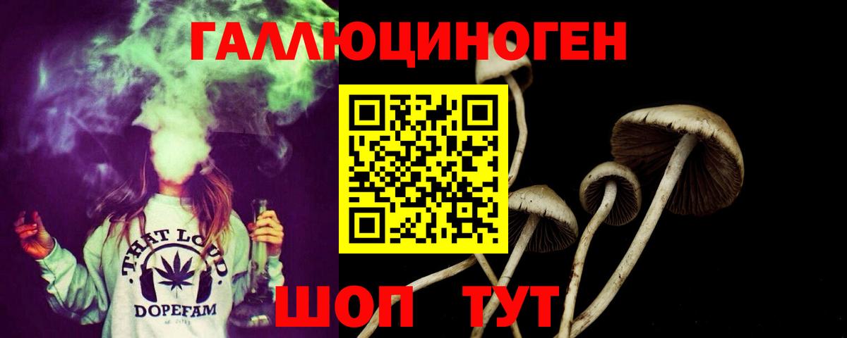 Тверь  Псилоцибиновые грибы Magic Shrooms  Вход с VPN  Псилоцибиновые грибы Magic Shrooms 